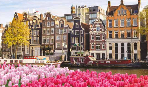 Che impatto la Consulenza no rebate nei Paesi Bassi (ma c’è il nodo assicurativo)